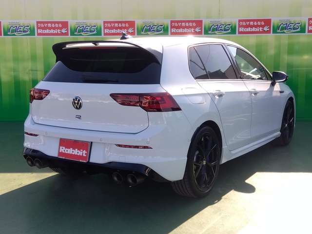 フォルクスワーゲン ゴルフＲ Ｒ ２０ イヤーズ ４ＷＤ R5年 (関東) 99
