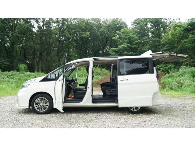 日産 セレナ ２．０ ライダー プロパイロット エディション H28年 (関東) 99