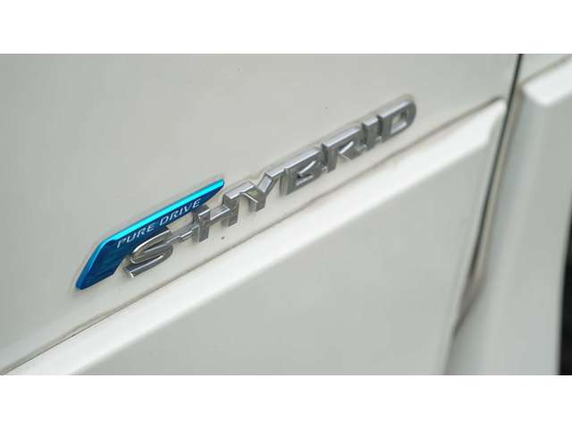 日産 セレナ ２．０ ライダー プロパイロット エディション H28年 (関東) 99