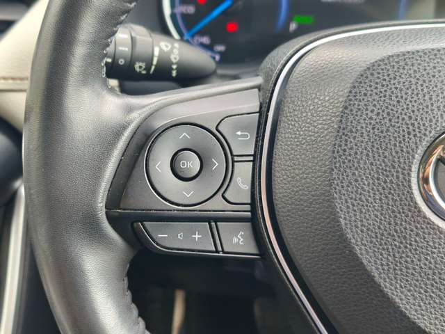 トヨタ ＲＡＶ４ ２．５ ハイブリッド Ｇ Ｅ－ＦＯＵＲ ４ＷＤ R3年 (近畿) 99