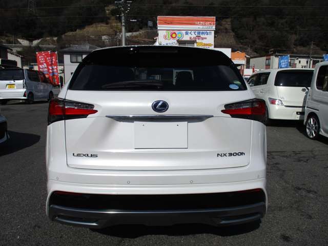 レクサス ＮＸ３００ｈ Ｆスポーツ H27年 (中国) 99