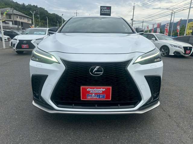 レクサス ＮＸ３５０ｈ Ｆスポーツ R5年 (中国) 99