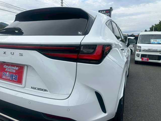 レクサス ＮＸ３５０ｈ Ｆスポーツ R5年 (中国) 99