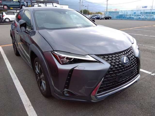 レクサス ＵＸ２５０ｈ ２５０Ｈ バージョンＬ ４ＷＤ H30年 (四国) 99