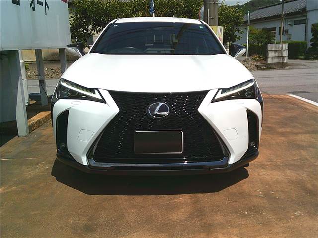 レクサス ＵＸ３００ｈ ＵＸ３００ＨＦ ＳＰＯＲＴ R6年 (関東) 99