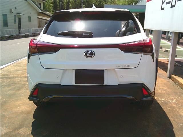 レクサス ＵＸ３００ｈ ＵＸ３００ＨＦ ＳＰＯＲＴ R6年 (関東) 99