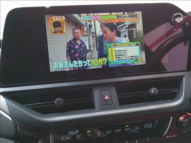 レクサス ＵＸ３００ｈ ＵＸ３００ＨＦ ＳＰＯＲＴ R6年 (関東) 99