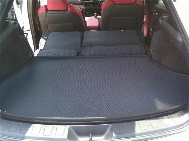 レクサス ＵＸ３００ｈ ＵＸ３００ＨＦ ＳＰＯＲＴ R6年 (関東) 99