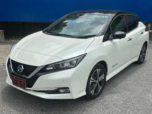 日産 リーフ Ｇ H30年 (関東) 99