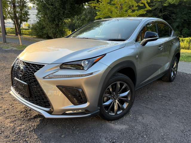 レクサス ＮＸ３００ｈ Ｆスポーツ R3年 (近畿) 99