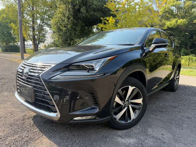 レクサス ＮＸ３００ｈ ３００Ｈ バージョンＬ ４ＷＤ H29年 (近畿) 99