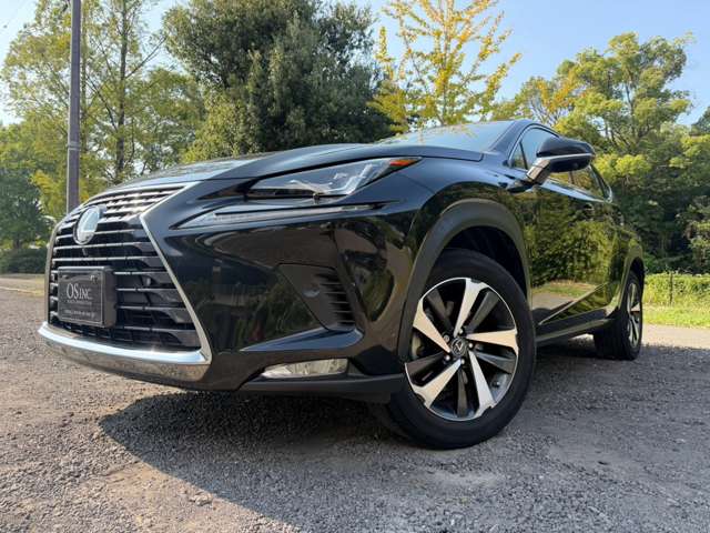 レクサス ＮＸ３００ｈ ３００Ｈ バージョンＬ ４ＷＤ H29年 (近畿) 99