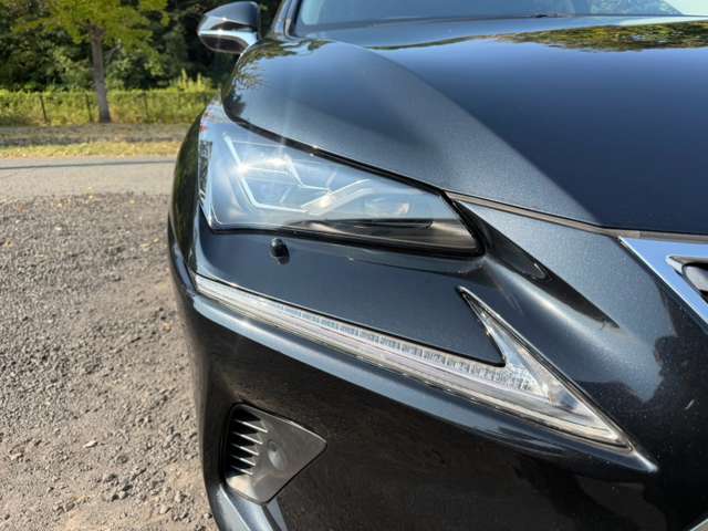 レクサス ＮＸ３００ｈ ３００Ｈ バージョンＬ ４ＷＤ H29年 (近畿) 99