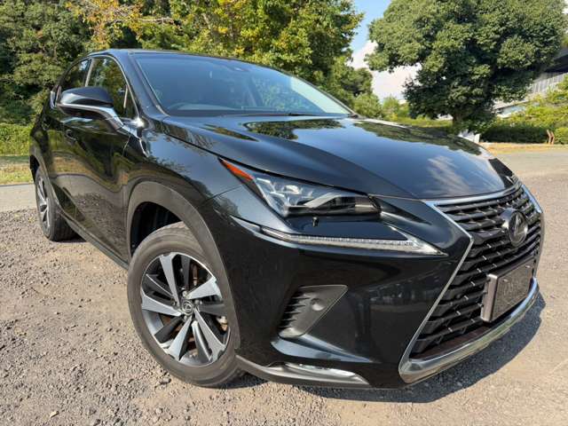 レクサス ＮＸ３００ｈ ３００Ｈ バージョンＬ ４ＷＤ H29年 (近畿) 99