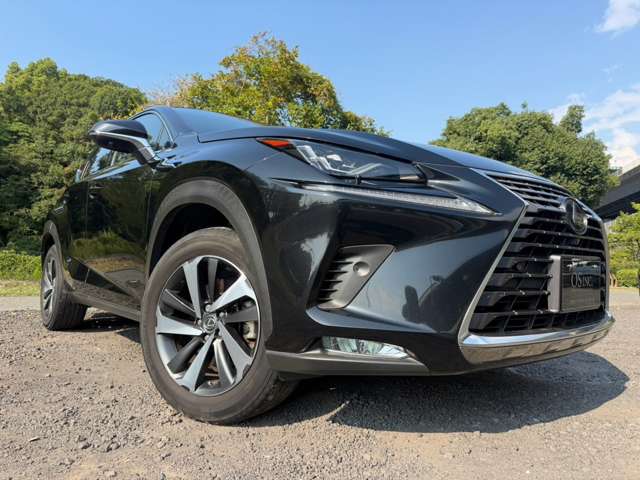 レクサス ＮＸ３００ｈ ３００Ｈ バージョンＬ ４ＷＤ H29年 (近畿) 99