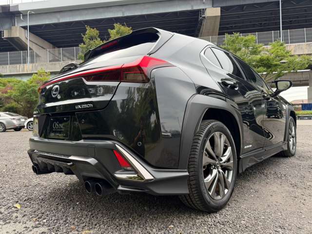 レクサス ＵＸ２５０ｈ Ｆスポーツ R3年 (近畿) 99