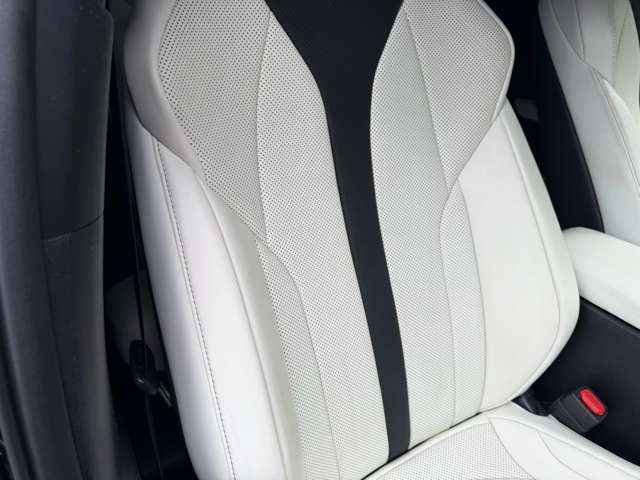 レクサス ＵＸ２５０ｈ Ｆスポーツ R3年 (近畿) 99