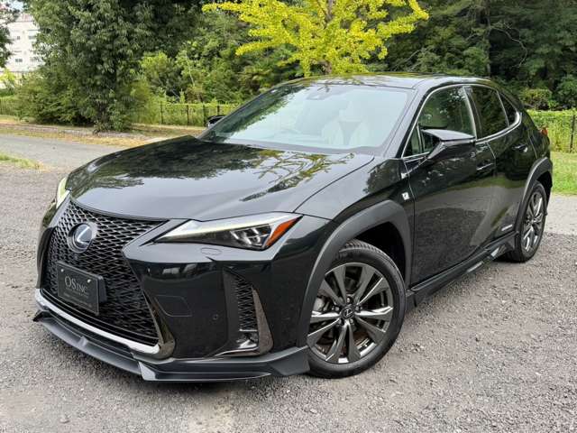 レクサス ＵＸ２５０ｈ Ｆスポーツ R3年 (近畿) 99
