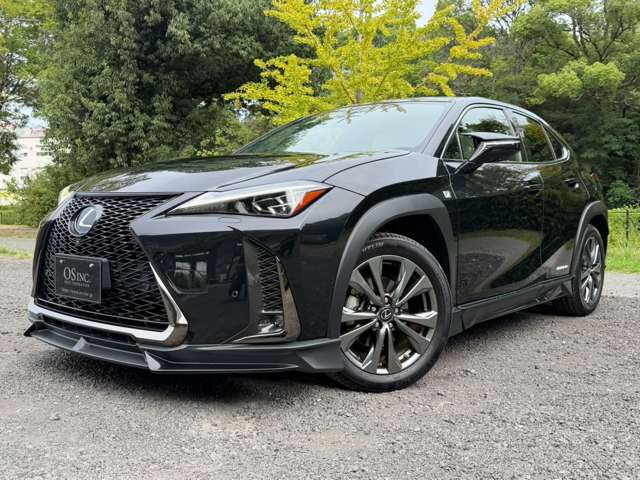 レクサス ＵＸ２５０ｈ Ｆスポーツ R3年 (近畿) 99