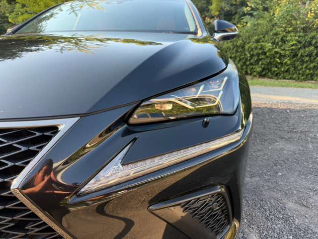 レクサス ＮＸ３００ｈ Ｆスポーツ H30年 (近畿) 99