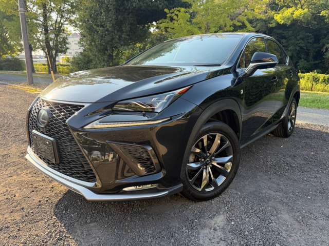 レクサス ＮＸ３００ｈ Ｆスポーツ H30年 (近畿) 99
