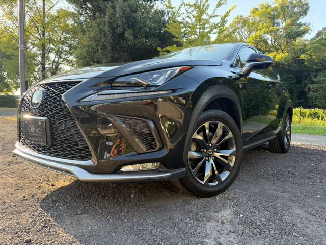 レクサス ＮＸ３００ｈ Ｆスポーツ H30年 (近畿) 99