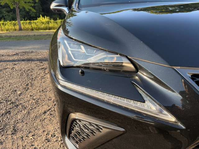 レクサス ＮＸ３００ｈ Ｆスポーツ H30年 (近畿) 99