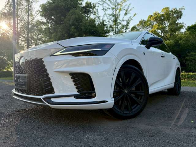 レクサス ＲＸ５００ｈ ５００Ｈ Ｆスポーツ パフォーマンス ４ＷＤ R5年 (近畿) 99