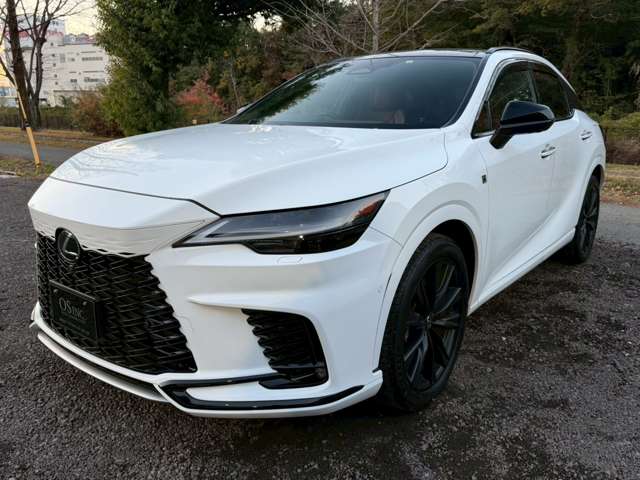 レクサス ＲＸ５００ｈ ５００Ｈ Ｆスポーツ パフォーマンス ４ＷＤ R5年 (近畿) 99