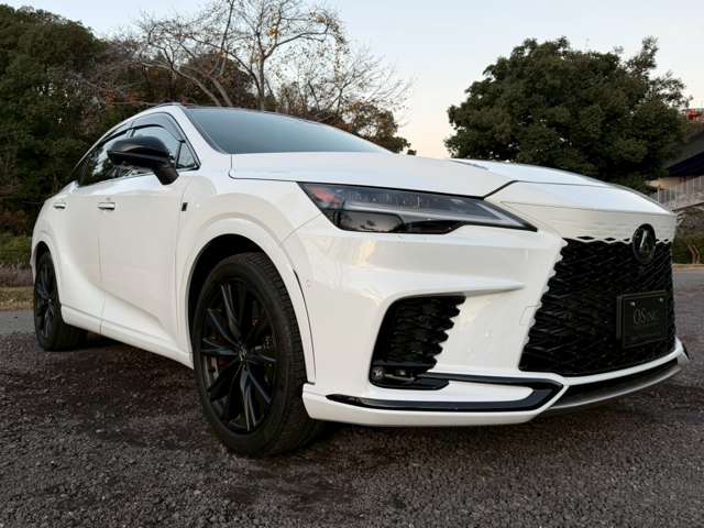 レクサス ＲＸ５００ｈ ５００Ｈ Ｆスポーツ パフォーマンス ４ＷＤ R5年 (近畿) 99