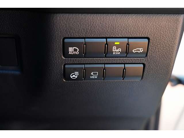 レクサス ＮＸ３００ Ｆスポーツ H30年 (関東) 99