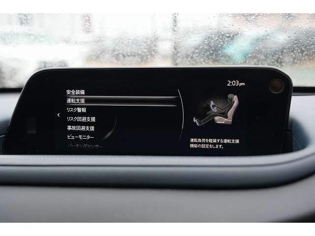 マツダ ＣＸ−３０ ２．０ ２０Ｓ プロアクティブ ツーリングセレクション R1年 (関東) 99