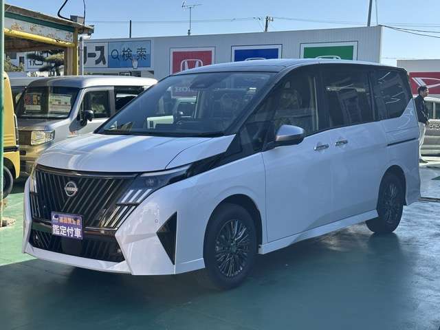 日産 セレナ ２．０ ＡＵＴＥＣＨ ライン 日産オリジナルナビ取付パッケージ装着車 R8年 (東海) 99
