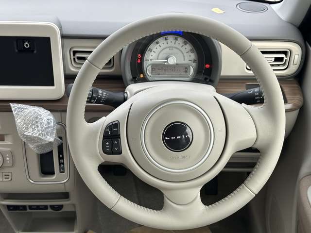 スズキ アルトラパン ６６０ ハイブリッド Ｘ R8年 (東海) 99
