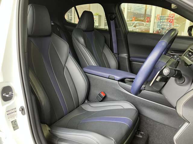 レクサス ＵＸ２５０ｈ Ｆスポーツ　スタイルブルー R3年 (近畿) 99