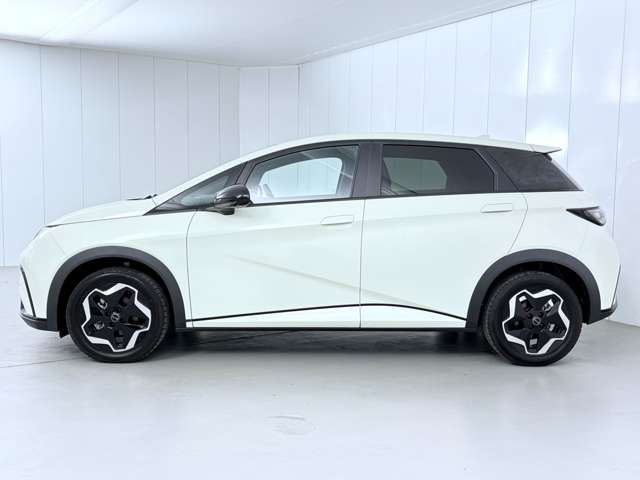ＢＹＤ ＢＹＤドルフィン ベースライン R7年 (関東) 99