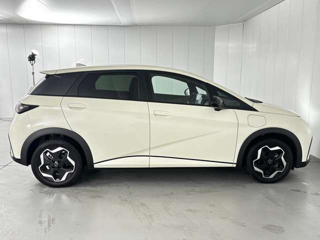 ＢＹＤ ＢＹＤドルフィン ベースライン R7年 (関東) 99