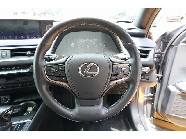 レクサス ＵＸ２５０ｈ バージョンＬ R3年 (関東) 99