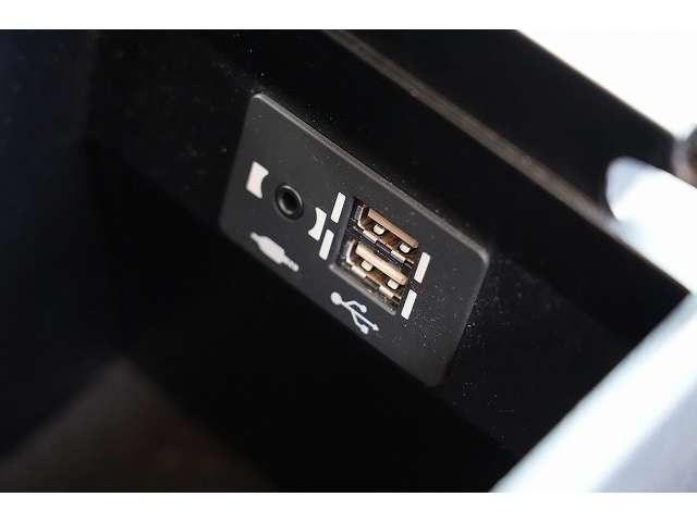 レクサス ＵＸ２５０ｈ バージョンＬ R3年 (関東) 99