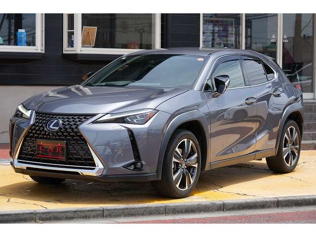 レクサス ＵＸ２５０ｈ バージョンＬ R3年 (関東) 99