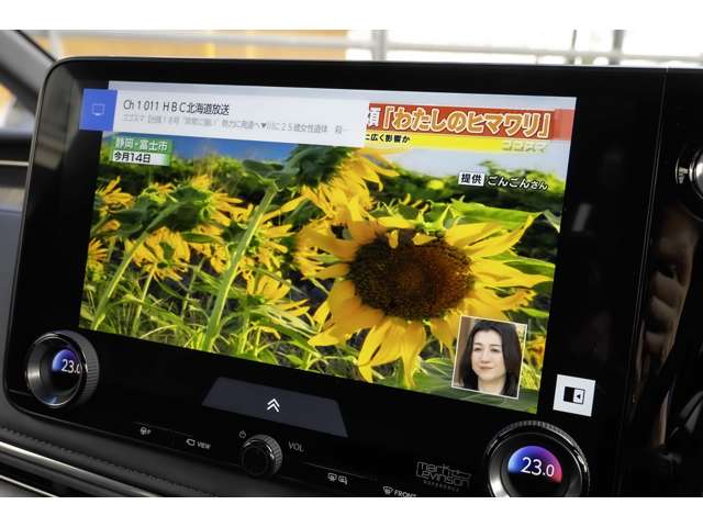 レクサス ＬＭ５００ｈ ５００Ｈ バージョンＬ ４ＷＤ R6年 (北海道) 99