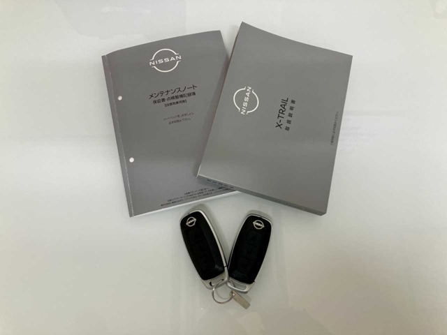 日産 エクストレイル １．５ Ｇ Ｅ－４ＯＲＣＥ ４ＷＤ R6年 (北海道) 99