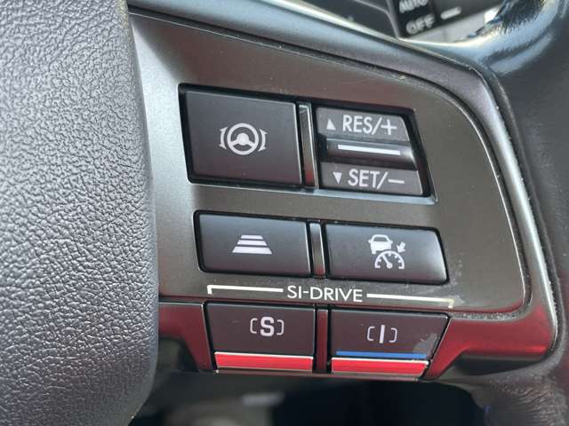 スバル レヴォーグ １．６ ＧＴ－Ｓ アイサイト ４ＷＤ H29年 () 99