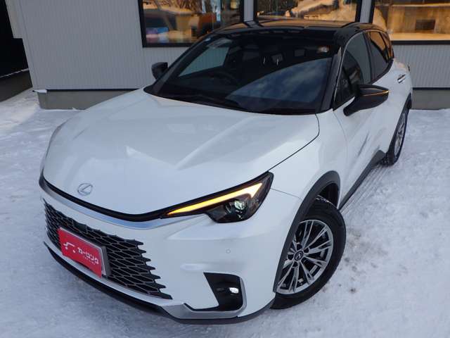 レクサス ＬＢＸ クール Ｅ－ＦＯＵＲ ４ＷＤ R6年 (北海道) 99