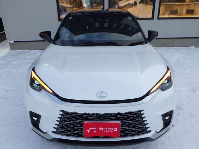 レクサス ＬＢＸ クール Ｅ－ＦＯＵＲ ４ＷＤ R6年 (北海道) 99