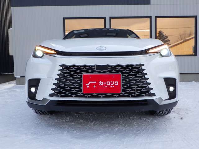 レクサス ＬＢＸ クール Ｅ－ＦＯＵＲ ４ＷＤ R6年 (北海道) 99