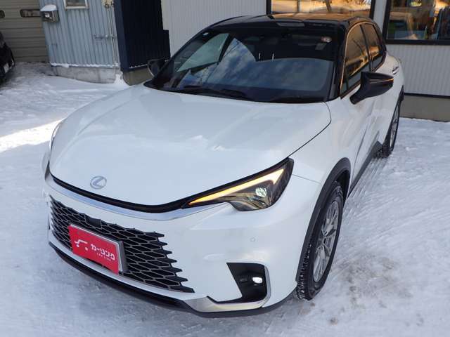 レクサス ＬＢＸ クール Ｅ－ＦＯＵＲ ４ＷＤ R6年 (北海道) 99