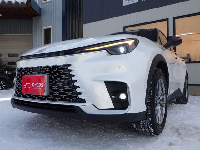 レクサス ＬＢＸ クール Ｅ－ＦＯＵＲ ４ＷＤ R6年 (北海道) 99