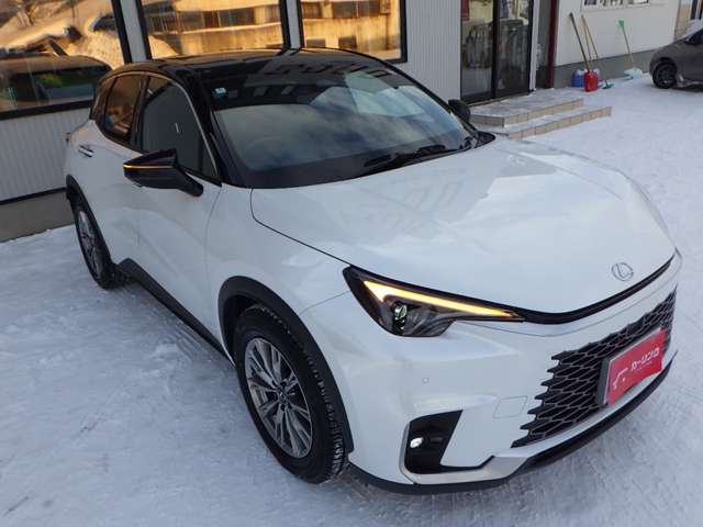 レクサス ＬＢＸ クール Ｅ－ＦＯＵＲ ４ＷＤ R6年 (北海道) 99