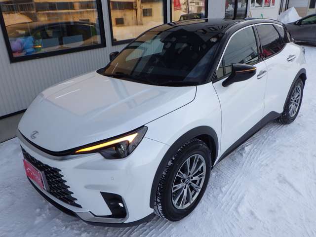 レクサス ＬＢＸ クール Ｅ－ＦＯＵＲ ４ＷＤ R6年 (北海道) 99